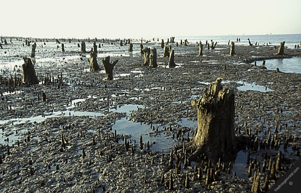 [image%255B5%255D.png]