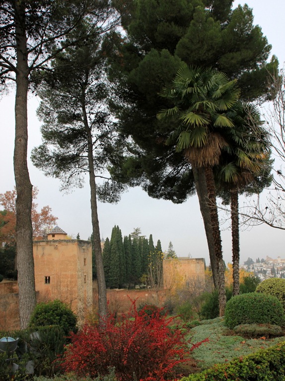 [IMG_6179%255B4%255D.jpg]