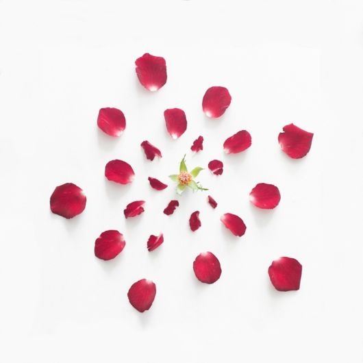 [disembled_flowers_art_07%255B4%255D.jpg]