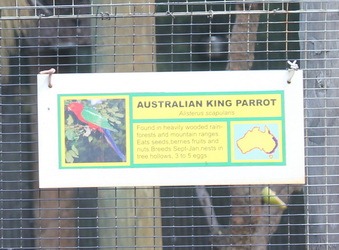 [IMG_0249_resize3.jpg]