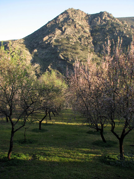 Las Alpujarras