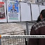 Algérie, les enjeux internationaux d’une élection