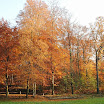 DSC_0344.jpg