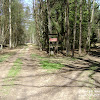Gryżyński Park Krajobrazowy -rozwidlenie drogi dsc06270.jpg