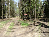 Gryżyński Park Krajobrazowy -rozwidlenie drogi Gryżyński Park Krajobrazowy -rozwidlenie drogi