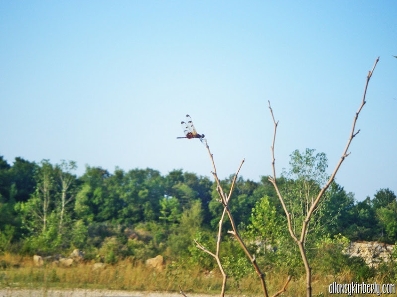 Oakes Quarry Park-Fairborn OH | allonsykimberly.com