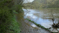 2011-04-17_13-47-45_248.jpg