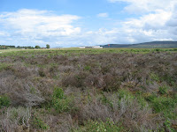 Culloden Battlefield