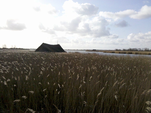 [2012-02-19_14-50-51_398%255B2%255D.jpg]