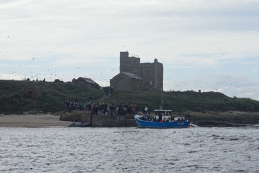 Farne Islands