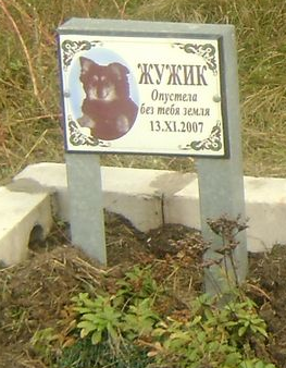 Снимок экрана 2.png