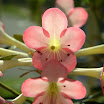 DSC_5612.jpg