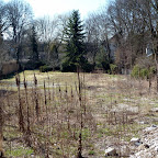 singold-bote_110320132643.jpg