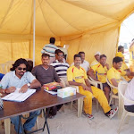cricket 2010_QTS.JPG