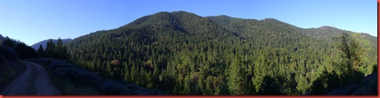 pics 006
