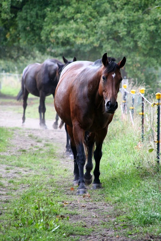 [IMG_5513%255B2%255D.jpg]