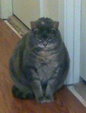 [Chloe%2520-%2520Cropped%255B2%255D.jpg]