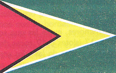 [image3.png]