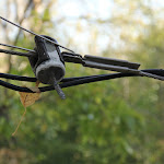 IMG_1637.JPG