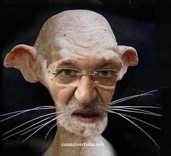 [rata%2520inmunda%2520rajoy%25201%255B3%255D.jpg]