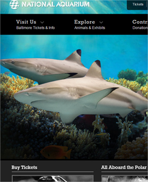 Diseños de sitios web enfocados a zoológicos y acuarios