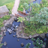 Looking Down from Our Room