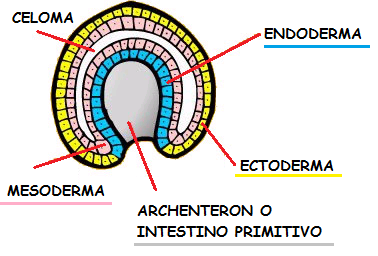 [FOGLIETTI%255B2%255D.png]