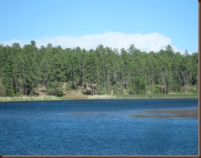 IMG_2667 IMG_2667