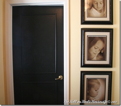 door and deer update 055