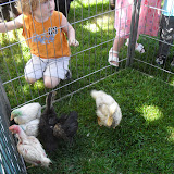 Petting Zoo
