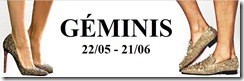 geminis geminis