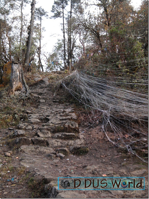 Pathivara yatra (80)