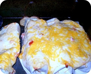 Creamy chicken enchiladas