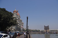 IMGP3245.JPG Photo