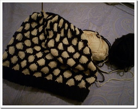 lily knit