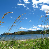 Coromandel Coromandel