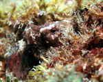 IMG_9240.JPG