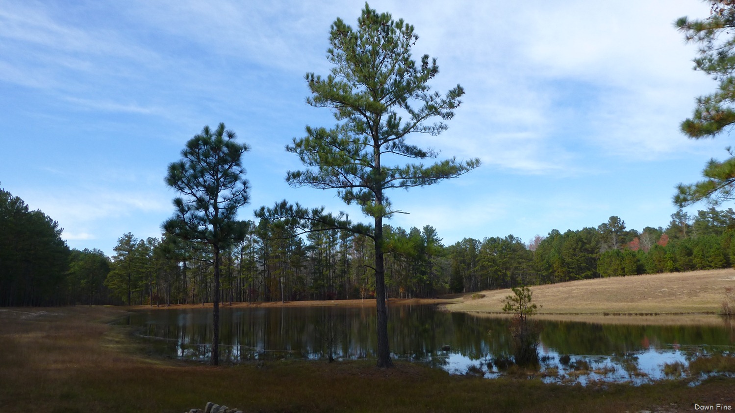 [Greenway_0123.jpg]