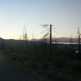 Forrest Fire on the Horizon