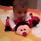 Niculescu Luca