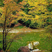 DSCF8352r.jpg