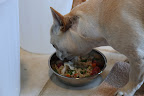 Francesca, I love our new diet, don't you?