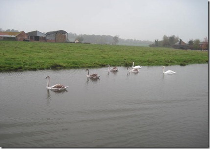 Brinklow Marina 005