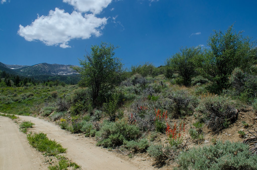 [Snake%2520Creek-29%255B3%255D.jpg]