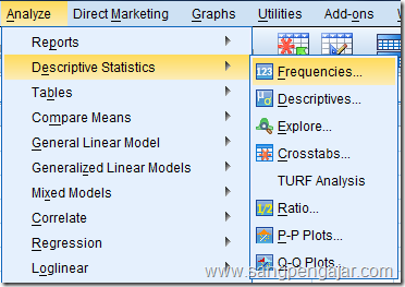 frekuensi data spss