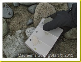 IMG_2886 IMG_2886