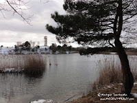 dsc05855.jpg