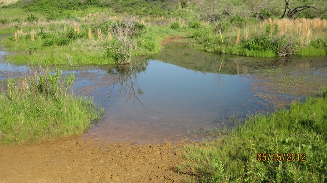 [05152012033.jpg]