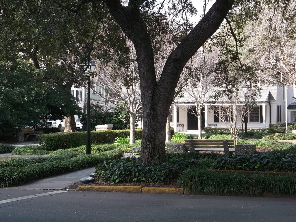 [DSCF13904.jpg]