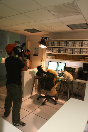 Here we are in the editing room making crucial decisions of what to cut and what to keep.